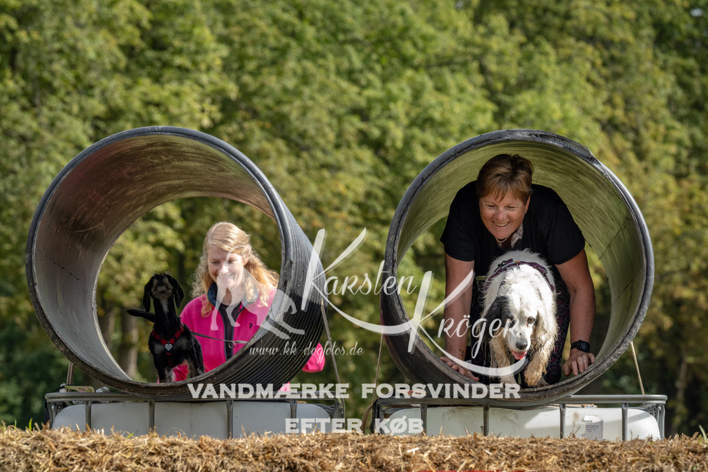 1134_ZZ94802 | kk-dogfotos