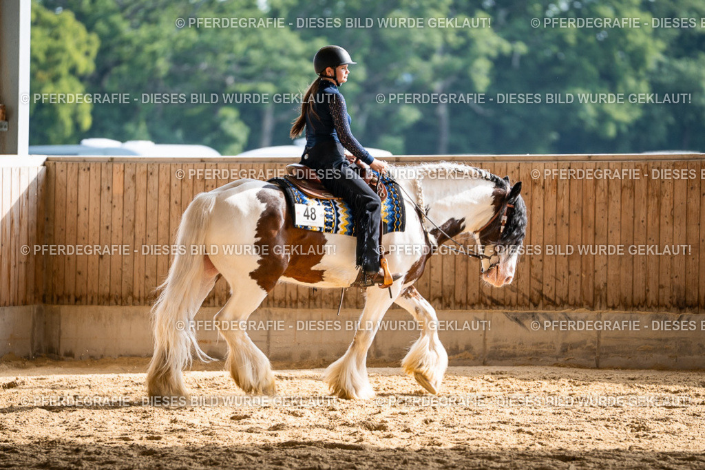 DSC08196 | Pferdegrafie