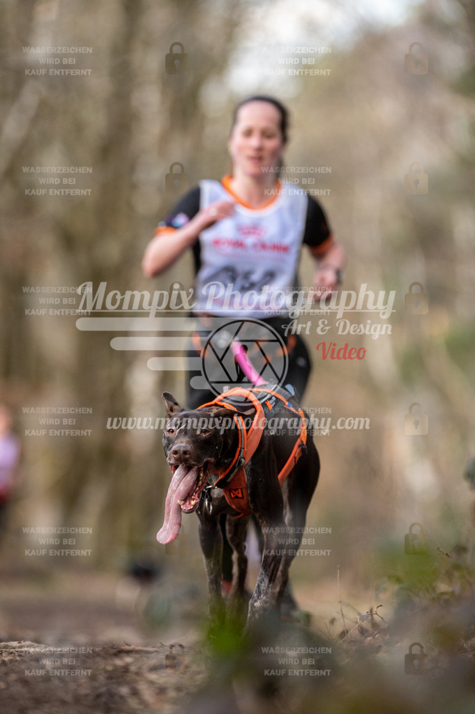 SPA_2023_SAM_CCK-235 | PayLife