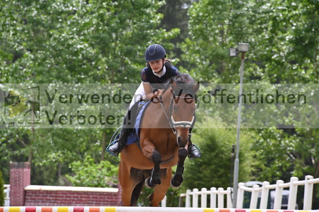 DSC_8338 | equestrian-live-com