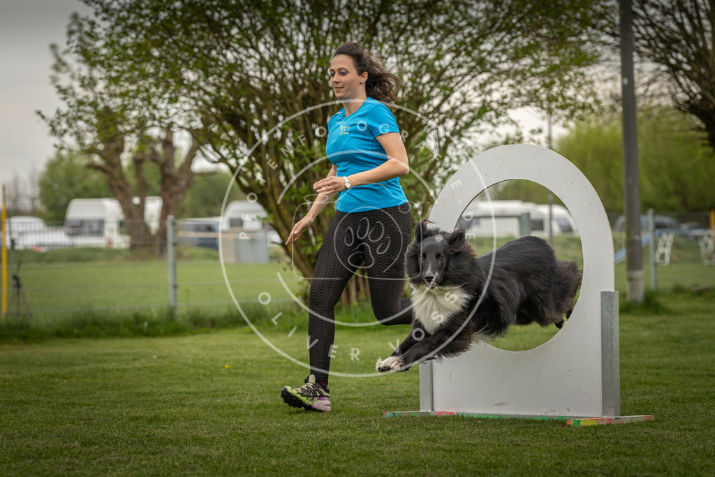 Pfotenfotografie_DV3A2911 | Hundefotografie, Tierfotograf, Pfotenfotografie, Fotoshooting Hund, Hunde Portrait, Hundesport, Hundeportraits, Heideshooting, Hunde, Sportfotograf, Hundefotograf, Turnierhundsport, THS,  - Realisiert mit Pictrs.com
