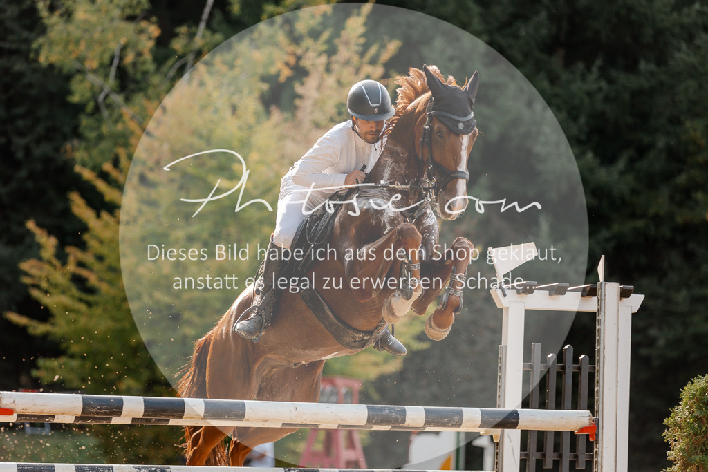 3I6A5151 | Stimmungsvolle Portraits und Reitsportfotografie im Ruhrgebiet und im Münsterland.

Pferdefotografie, Hundefotografie, Tierfotografie, Reportagen, Portraits von Tier und Mensch, Turnierfotografie in Bochum, Recklinghausen, Marl, Haltern am See, Dülmen.. - Realisiert mit Pictrs.com