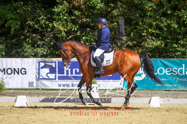 DKP42180 | Turniersportfotografie; Pferdefotografie; Dressurfotografie