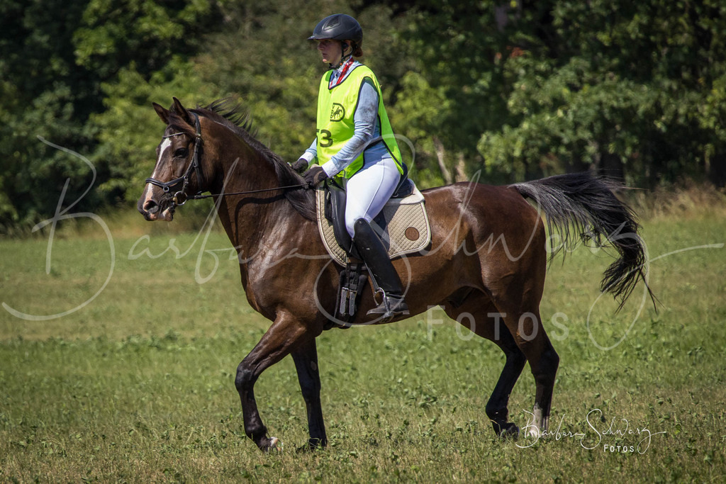 CJP_2026-06-26_96 | Stimmungsvolle Fotografie von Pferden, fotografische Begleitung von Veranstaltungen, Golfturnieren und Distanzritten - Realisiert mit Pictrs.com