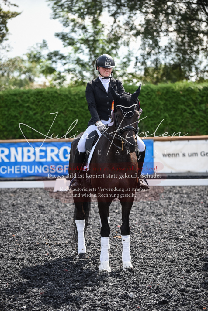 DSC_5149 | Pferde- und Turnierfotografie in Westsachsen. Pferdeportraits, Auftragszeichnungen und intuitive Kunst.