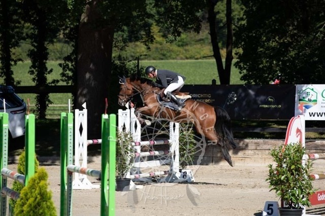 2B4A0478 | pixelfaenger - Realisiert mit Pictrs.com