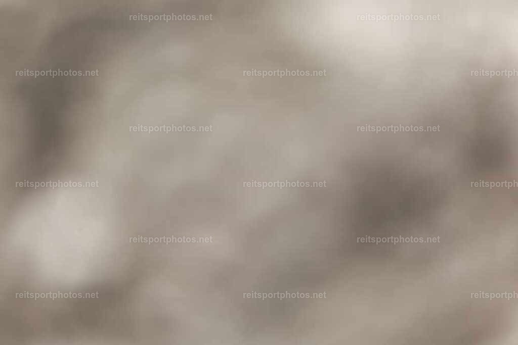 JoYaR3_Heidehof_01049 | JoYa Fotografie - Realisiert mit Pictrs.com