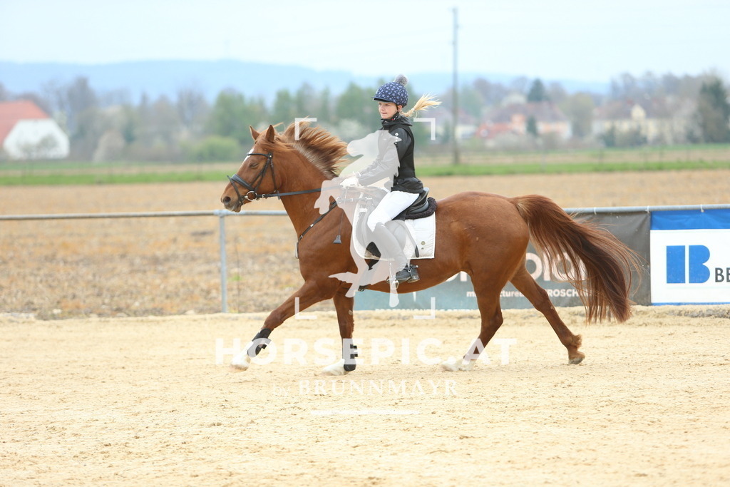 DL2Q2323 | Willkommen bei Brunnmayr - Design & Fotografie – Ihrem Spezialisten für Reitturniere und Pferdeveranstaltungen in Oberösterreich, Salzburg und Bayern! Seit über 17 Jahren sind wir leidenschaftlich dabei.
