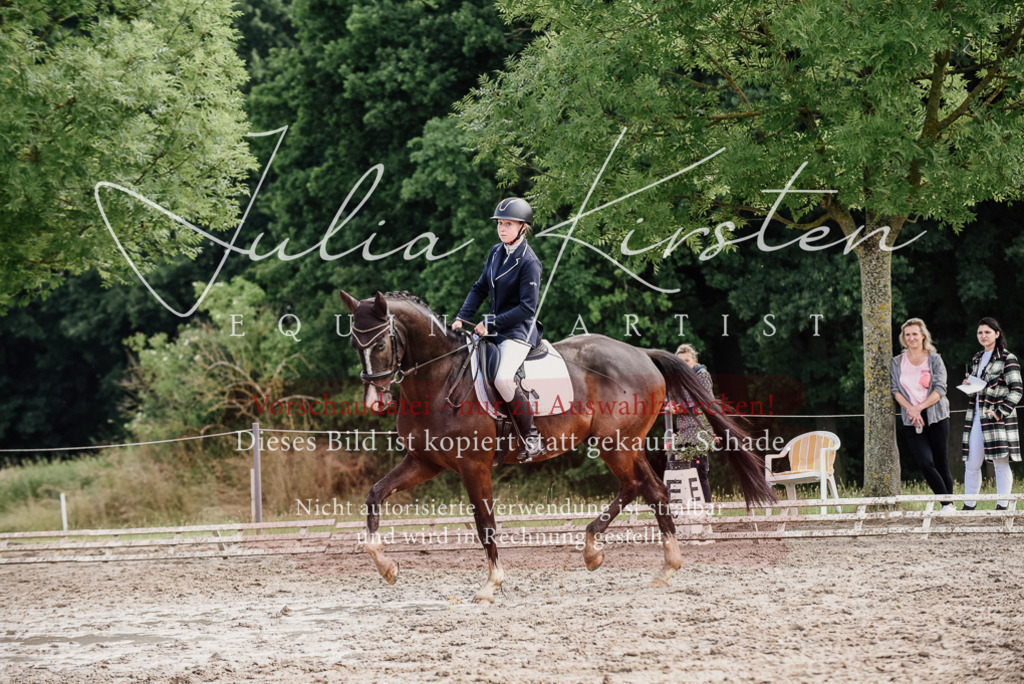 DSC_0105 | Pferde- und Turnierfotografie in Westsachsen. Pferdeportraits, Auftragszeichnungen und intuitive Kunst.