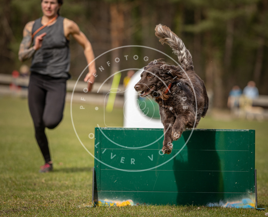 Pfotenfotografie_DV3A8353 | Hundefotografie, Tierfotograf, Pfotenfotografie, Fotoshooting Hund, Hunde Portrait, Hundesport, Hundeportraits, Heideshooting, Hunde, Sportfotograf, Hundefotograf, Turnierhundsport, THS,  - Realisiert mit Pictrs.com