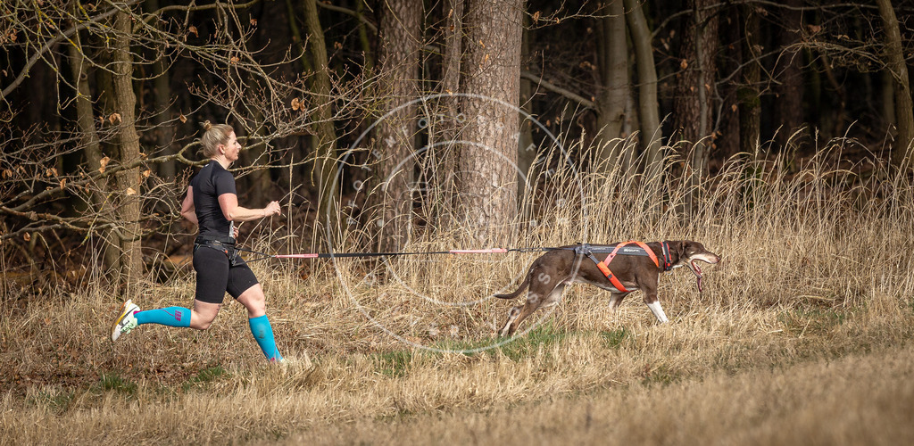 DV3A3876 | Hundefotografie, Tierfotograf, Pfotenfotografie, Fotoshooting Hund, Hunde Portrait, Hundesport, Hundeportraits, Heideshooting, Hunde, Sportfotograf, Hundefotograf, Turnierhundsport, THS,  - Realisiert mit Pictrs.com