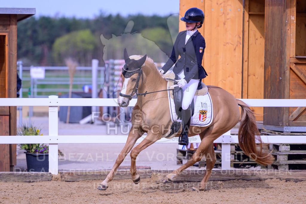 09042026-Mammendorf-Prfg06-0283 | Fokus Hufschlag Fotografie - Realisiert mit Pictrs.com
