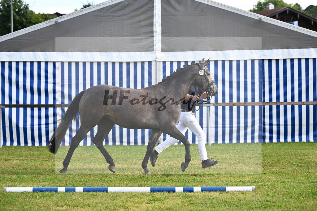 Kat-Nr. 10 Nischa F v. Vigaro_Fischer_30250124 | hf-fotografie - Realizzato con Pictrs.com
