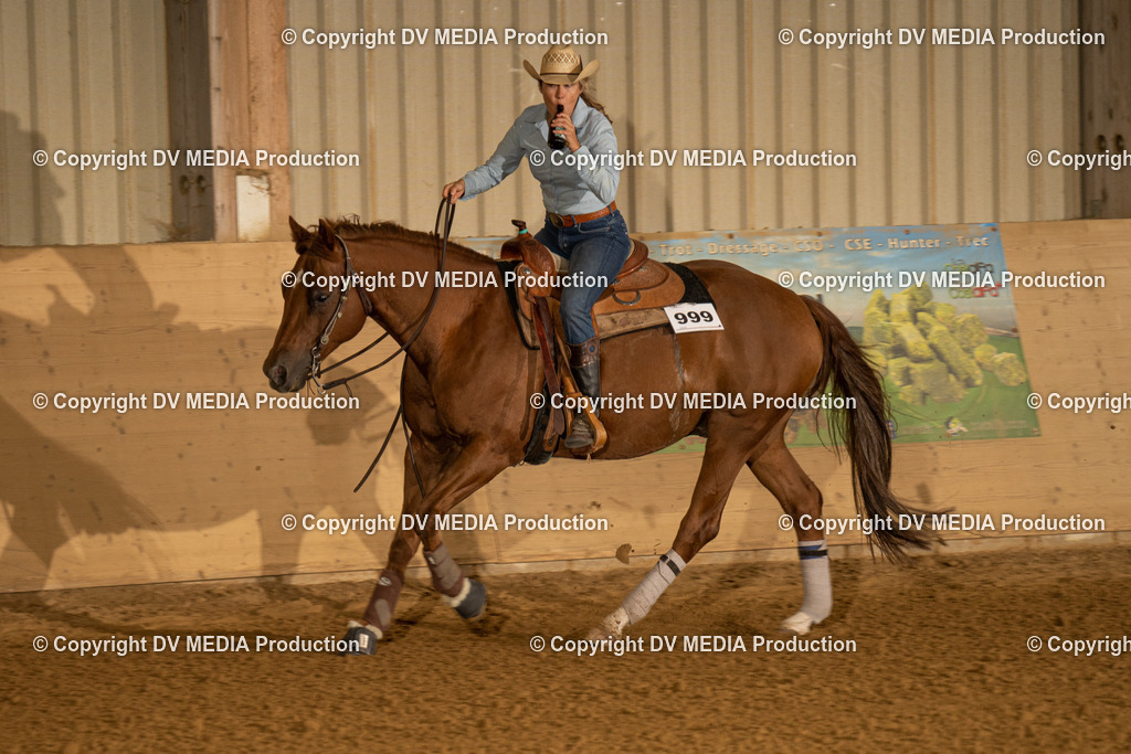 LAU00034 | dv-media-shop - Realisiert mit Pictrs.com