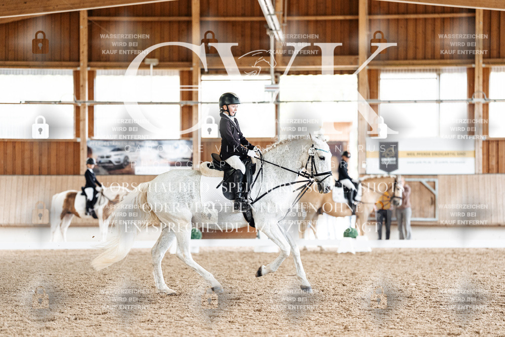 CK900394 | Turnierfotografie Pferdefotografie Trier Rheinland-Pfalz Pferdesport Reitsport Tierfotografie Sportfotografie Pferdevideo Pferdevideografie Equestrianvideography equestrianphotography  - Realisiert mit Pictrs.com