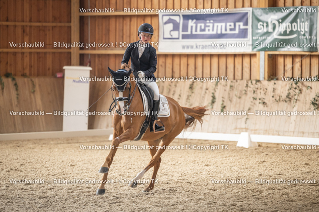 _D5A6128 | Emotionale Pferde- & People-Fotografie rund um Heidelberg, Leimen & Umgebung. Natürliche Fotos von Pferd, Mensch & Familie. Jetzt Termin sichern!