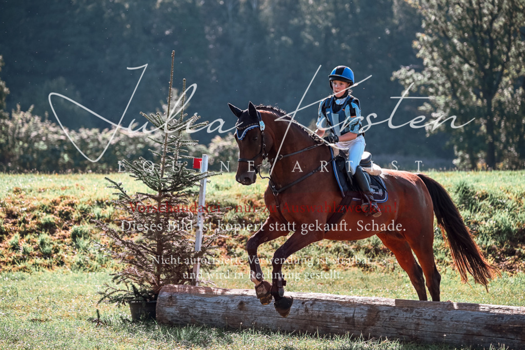DSC_0811 | Pferde- und Turnierfotografie in Westsachsen. Pferdeportraits, Auftragszeichnungen und intuitive Kunst.