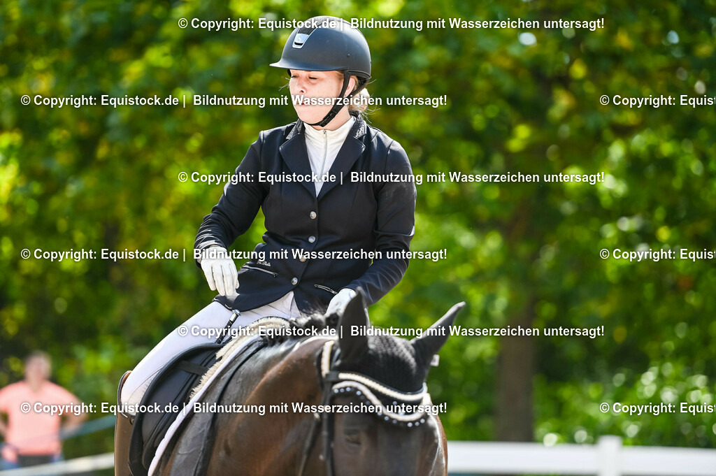 20230715_07_Dressurpferdeprfg. Kl.L_0167 | equistock