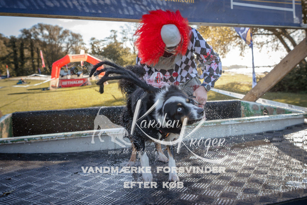 1211_ZZ94939 | kk-dogfotos