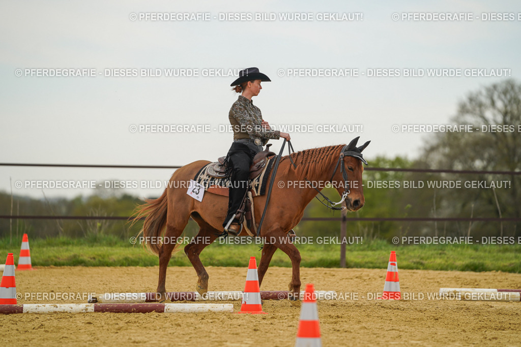 DSC02644 | Pferdegrafie