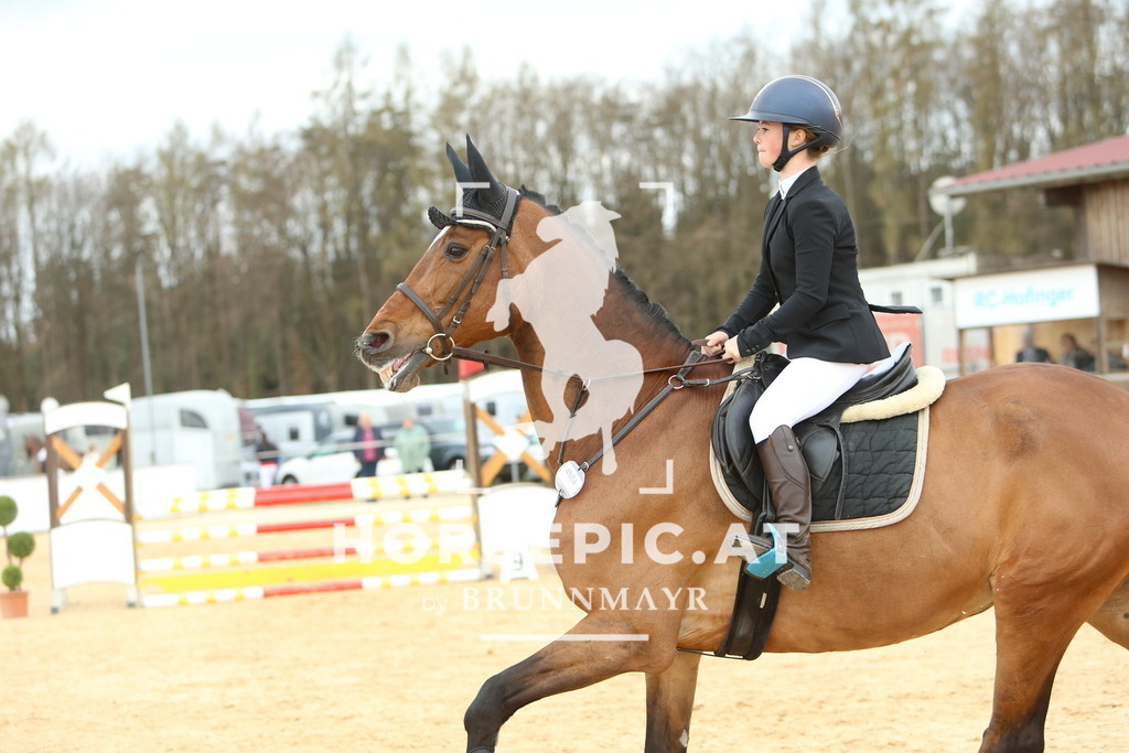 DL2Q2431 | Willkommen bei Brunnmayr - Design & Fotografie – Ihrem Spezialisten für Reitturniere und Pferdeveranstaltungen in Oberösterreich, Salzburg und Bayern! Seit über 17 Jahren sind wir leidenschaftlich dabei.