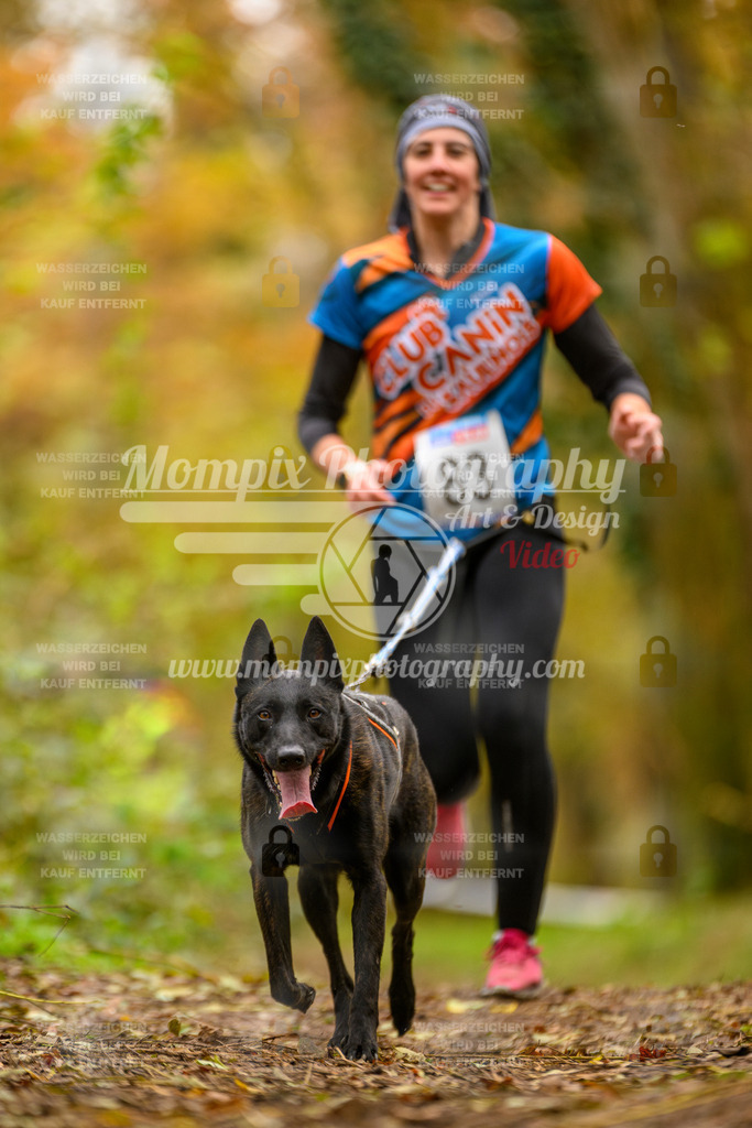 MompixPhotography_Bischwiller24_SA_Canicross-153 | PayLife