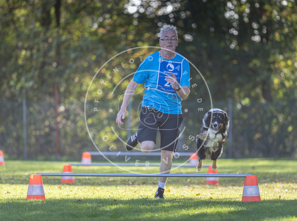 Pfotenfotografie.de_DV3A3052 | Hundefotografie, Tierfotograf, Pfotenfotografie, Fotoshooting Hund, Hunde Portrait, Hundesport, Hundeportraits, Heideshooting, Hunde, Sportfotograf, Hundefotograf, Turnierhundsport, THS, canicross - Realisiert mit Pictrs.com