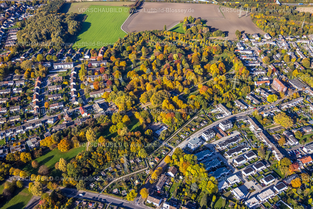Gladbeck221005246 | Luftbild, Friedhof Brauck, Herbstwald, Brauck, Gladbeck, Ruhrgebiet, Nordrhein-Westfalen, Deutschland