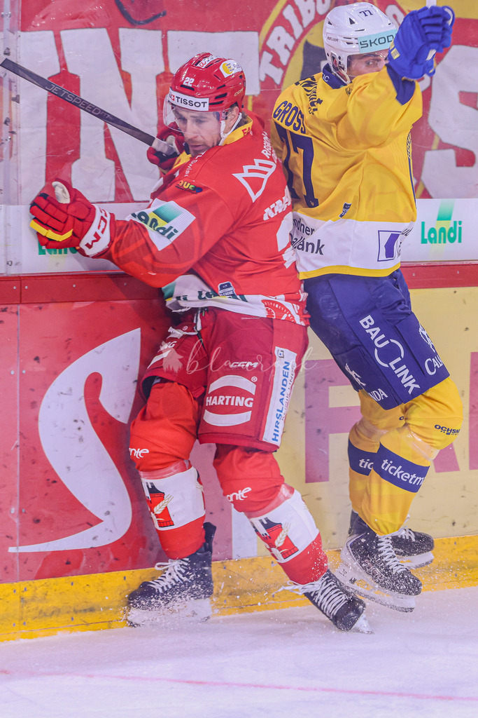 09112025_EHCB vs HCD_wb-3559 | Sportbilder, Sportfotograf, Hochzeits- und Eventfotografin, Flugshows, Portraits und Tiershooting, Aviation, Downhill, Nationalleague, Swissleague, International