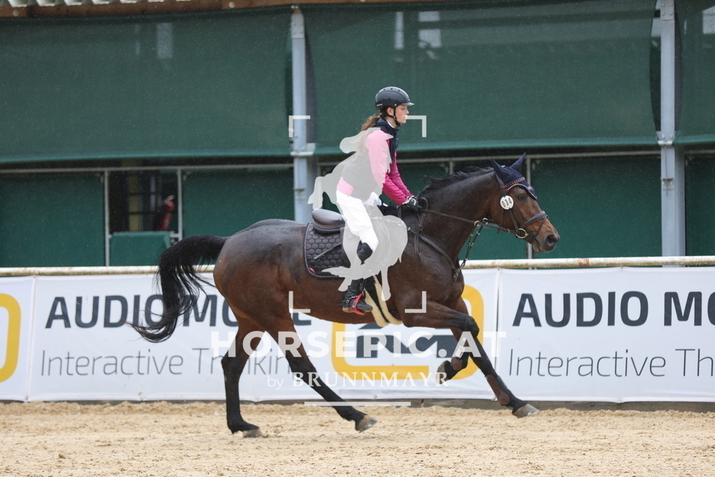 0P6A2350 | Willkommen bei Brunnmayr - Design & Fotografie – Ihrem Spezialisten für Reitturniere und Pferdeveranstaltungen in Oberösterreich, Salzburg und Bayern! Seit über 17 Jahren sind wir leidenschaftlich dabei.