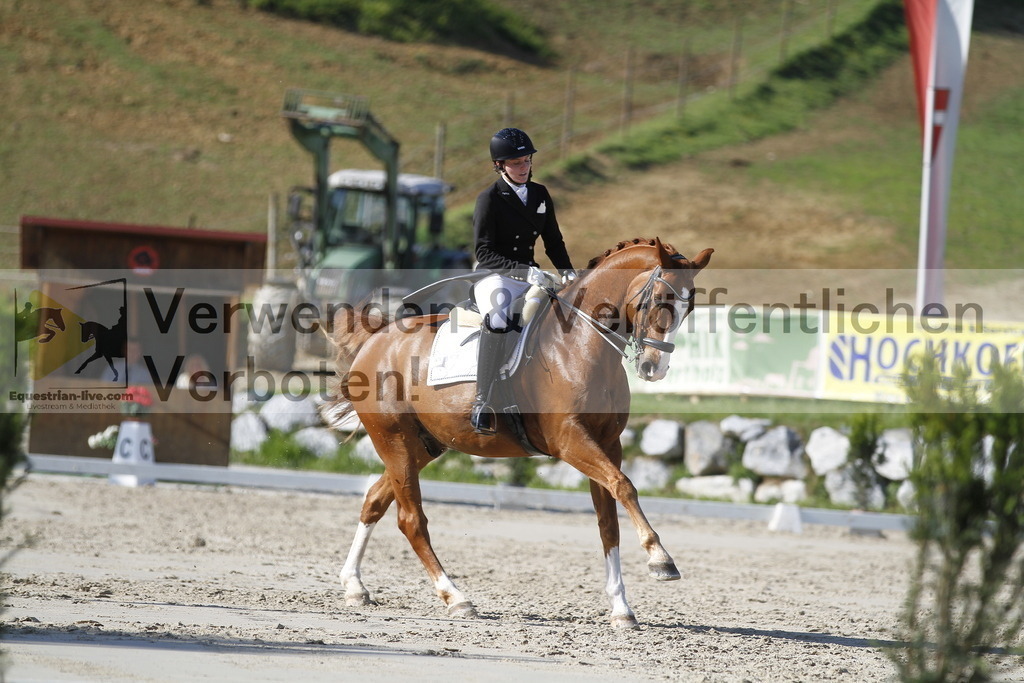 _MG_3205 | equestrian-live-com