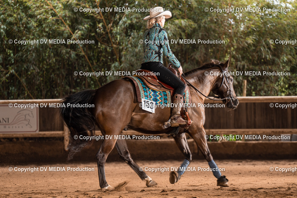 Erbach Tag 2-697 | dv-media-shop - Realisiert mit Pictrs.com