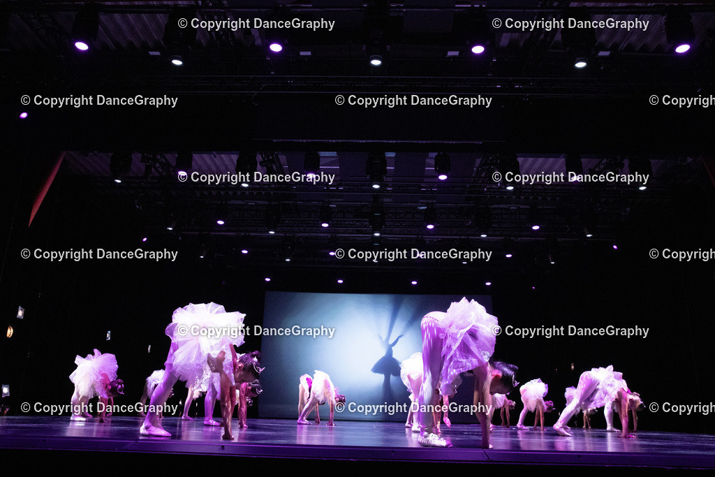 GPHY6460 | DanceGraphy - Realisiert mit Pictrs.com