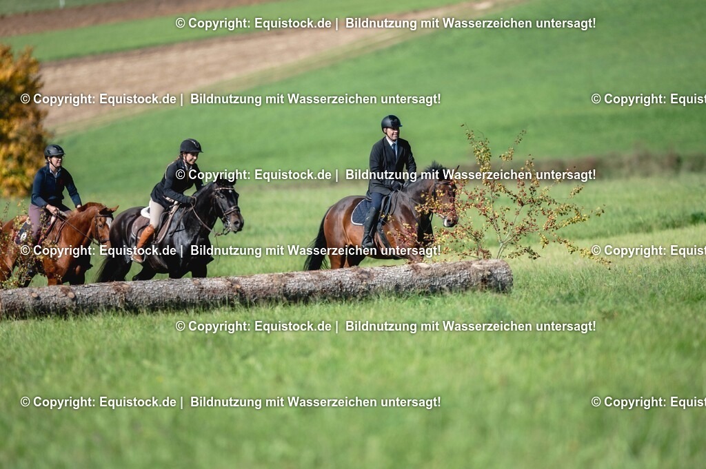 20251011_Jagd-Marbach_0249 | Foto: Thomas Hartig