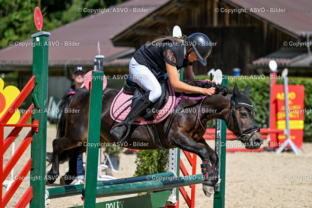 ASVÖ_ Reiten Bezirksmeisterschaft_ 24.08.2025-103 | 24.08.2025, AUT, ASVÖ, Reiten Bezirksmeisterschaft 2025Dressur und Springreiten©fodo.media / Harald Dostal - Realisiert mit Pictrs.com
