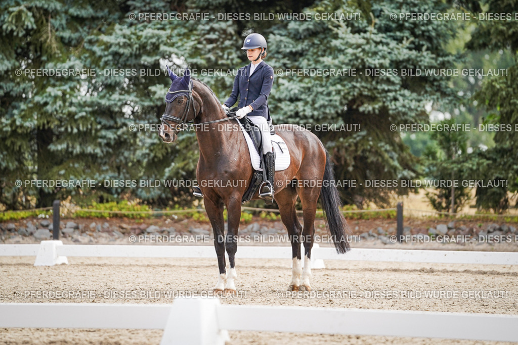 DSC01473 | Pferdegrafie