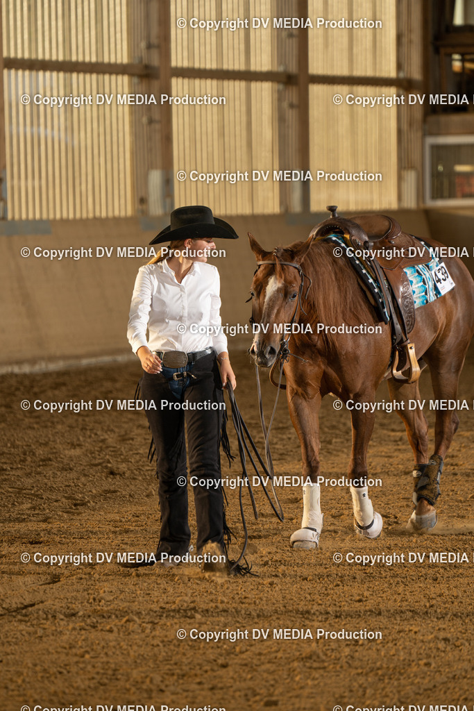 LAU02014 | dv-media-shop - Realisiert mit Pictrs.com