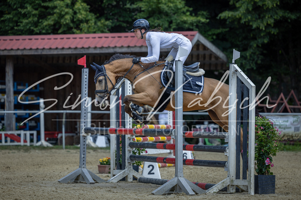 20260704-_3LI9294 | Tierfotografie Pferde, Hunde, Katzen, Haustiere.
Turnierfotografie Reitturniere, Reiten, Springreiten, Dressur in Hanau, dem Main-Kinzig-Kreis und dem Rhein-Main- Gebiet um Frankfurt