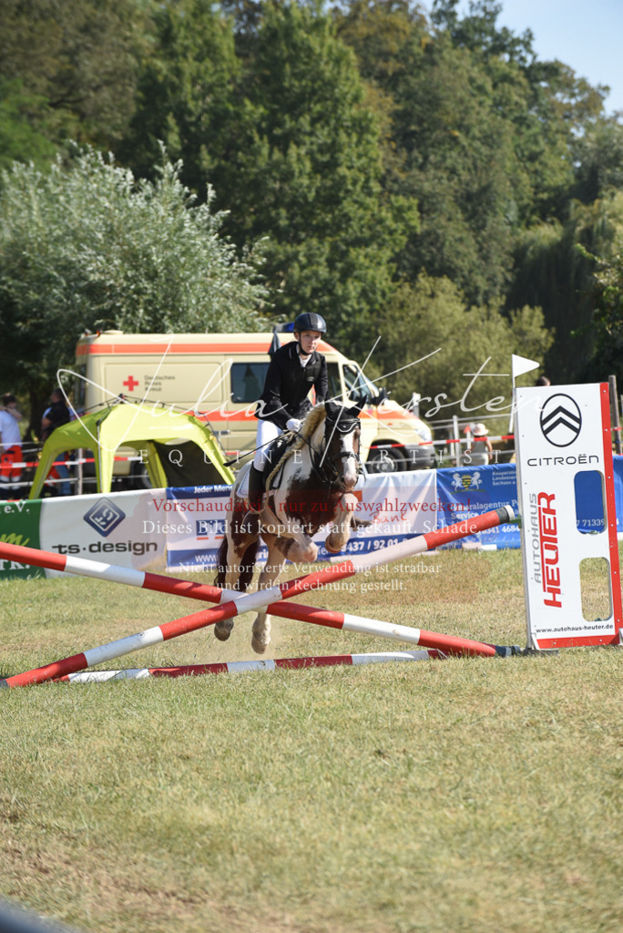 DSC_6092 | Pferde- und Turnierfotografie in Westsachsen. Pferdeportraits, Auftragszeichnungen und intuitive Kunst.