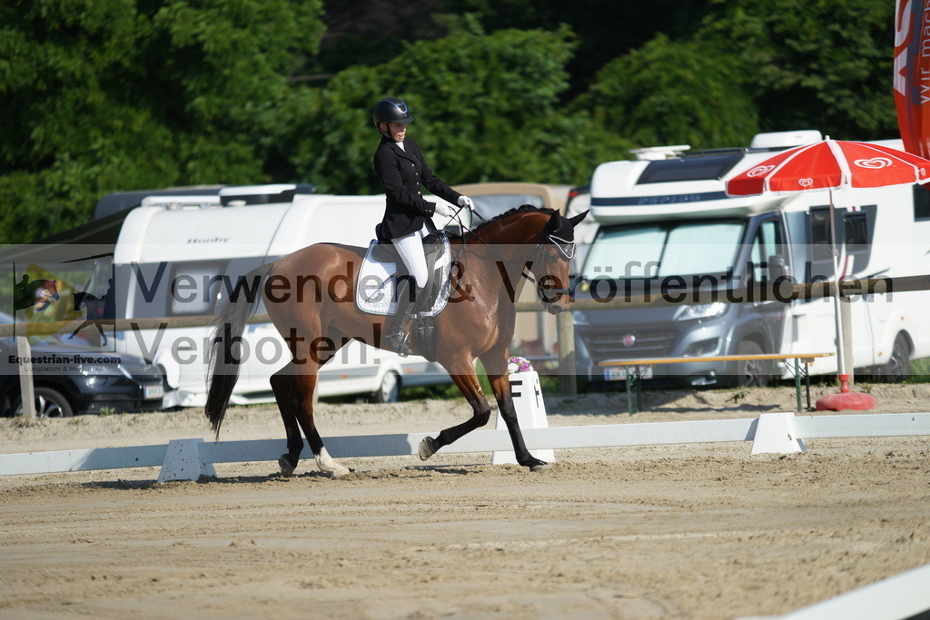 DSC04039 | equestrian-live-com