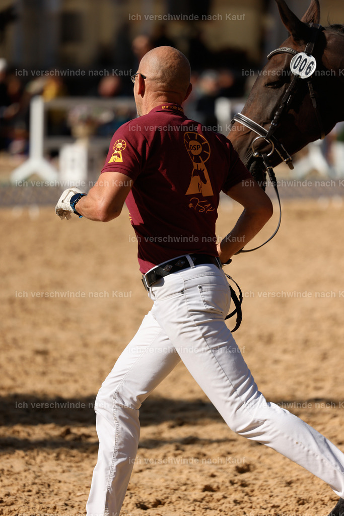 _AM19119 | working equitationturnier fotograf videograf stoibphotography marixx film working equitation deutschland reitsport turnierfotografie eventfotografie equestrian events