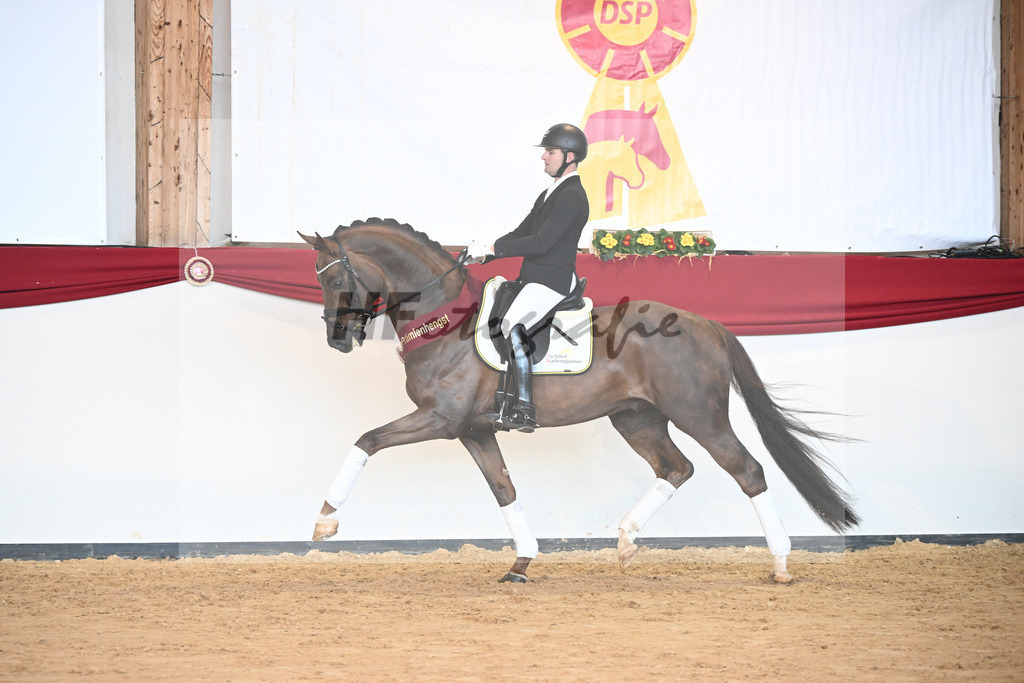 Feliciano_2243134 | hf-fotografie - Realisiert mit Pictrs.com