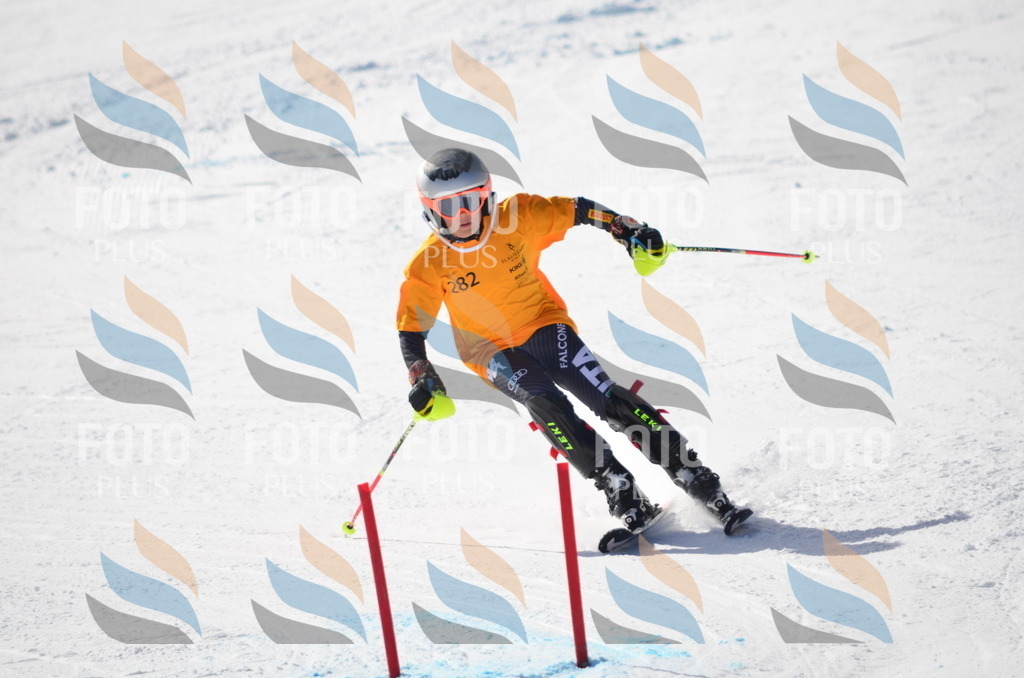 C8642 | holidayphoto