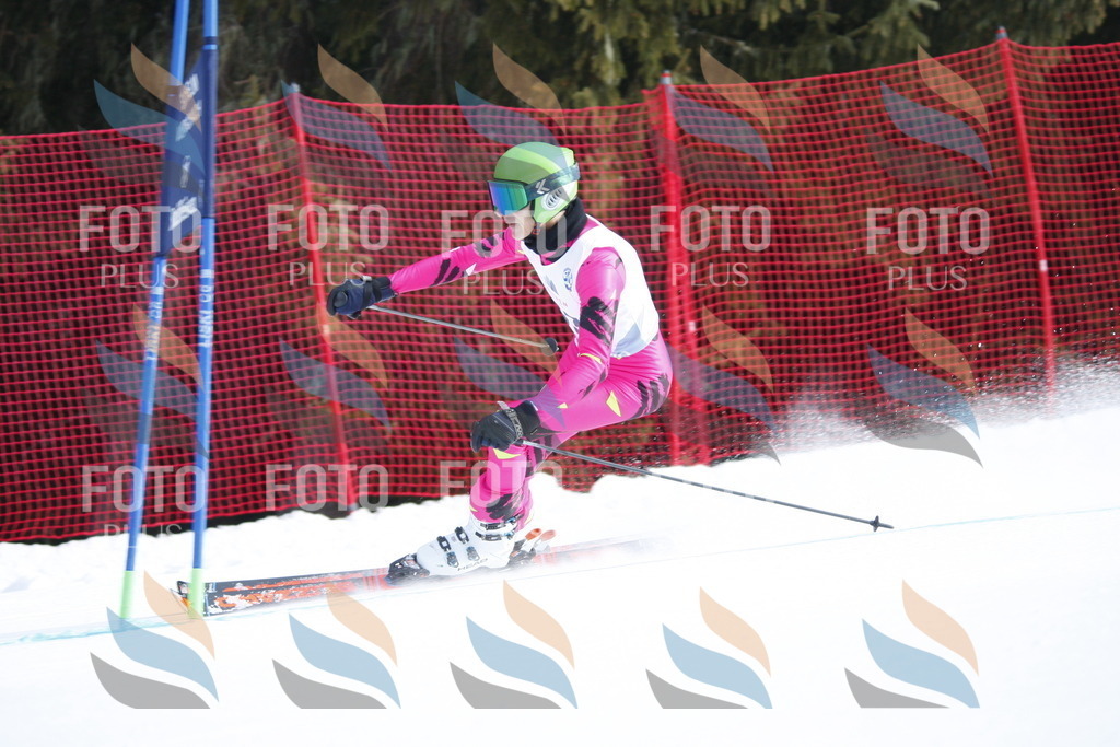 D6205 | holidayphoto