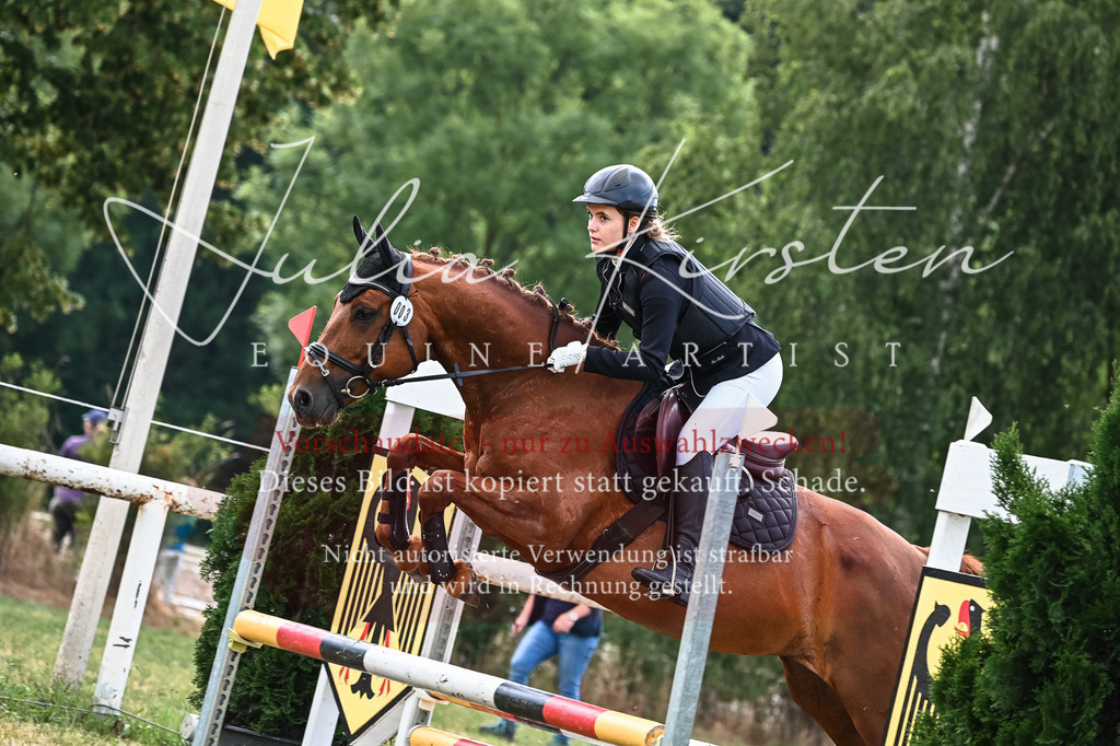 DSC_8199 | Pferde- und Turnierfotografie in Westsachsen. Pferdeportraits, Auftragszeichnungen und intuitive Kunst.