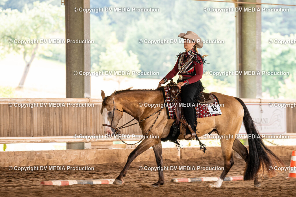 Erbach Tag 1-260 | dv-media-shop - Realisiert mit Pictrs.com