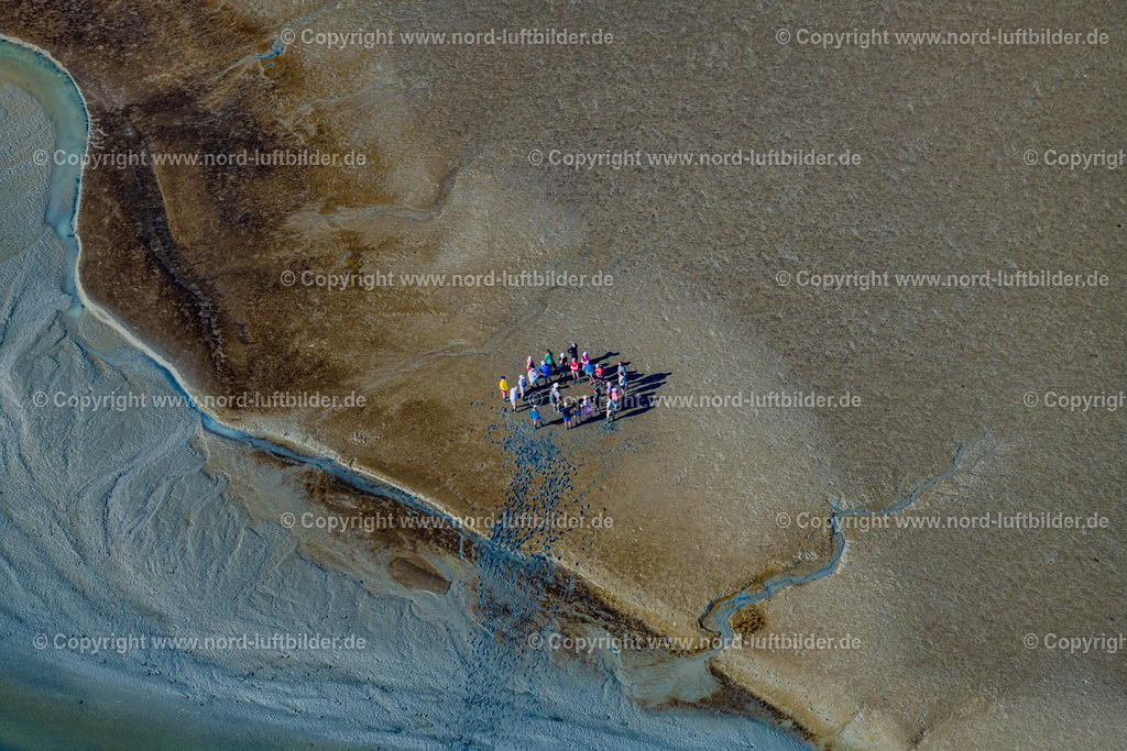 Norderney_Wattenmeer_Wattwanderung_ELS_5803050923 | NORDERNEY 05.09.2023 Wattwanderung eine Gruppe im Wattenmeer vor Norderney im Bundesland Niedersachsen, Deutschland. // A group hiking on the Wadden Sea in front of Norderney in the state of Lower Saxony, Germany. Foto: Martin Elsen