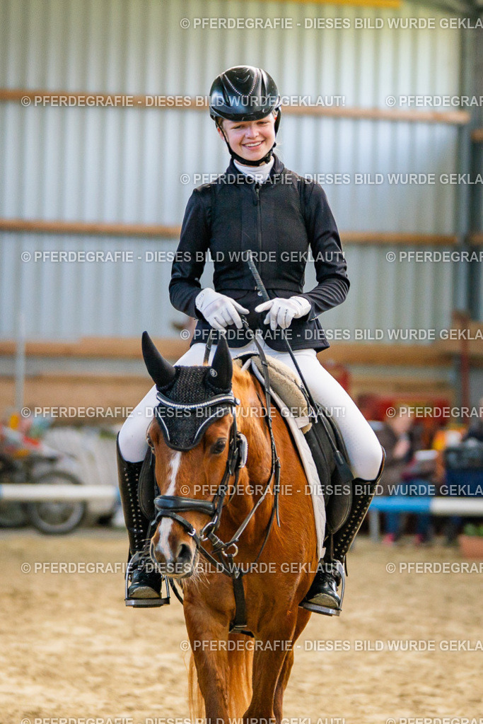 DSC01550 | Pferdegrafie