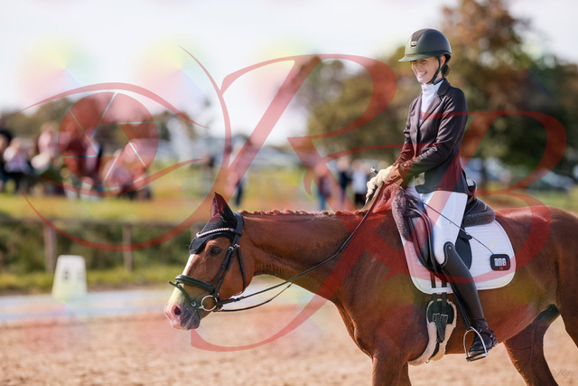 2026_10_03_Siefer-Hof_133324_Z81_92241365 | Professionelle Reitsport-, Turnier- und Eventfotografie von Robert Broda. Galerien mit ausgewählten und bearbeiteten Bildern direkt online ansehen und bestellen.