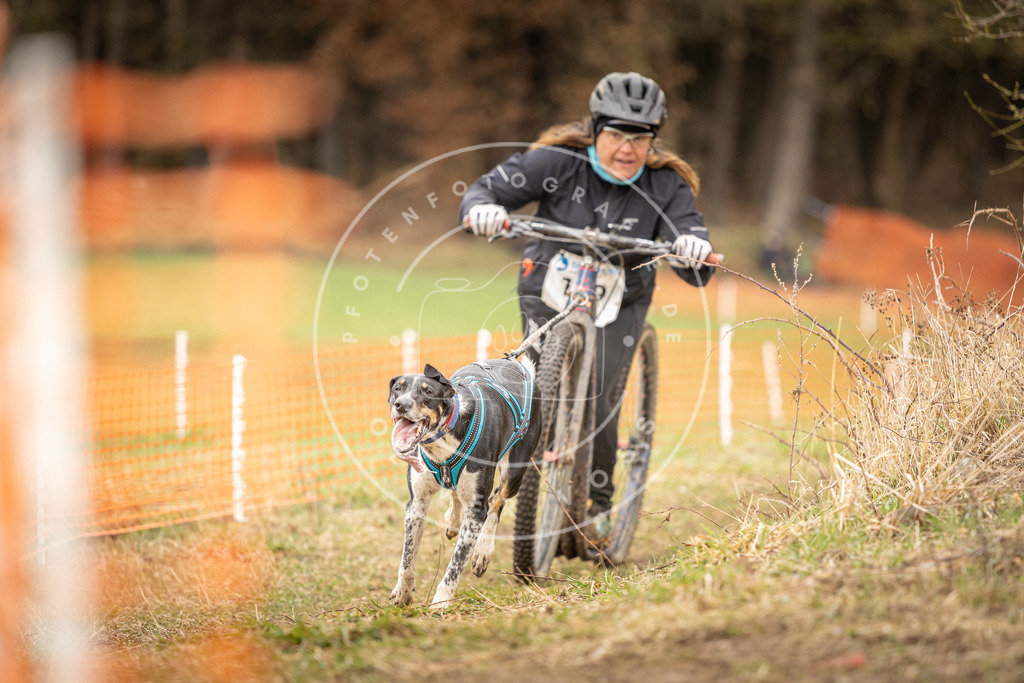 DV3A1502 | Hundefotografie, Tierfotograf, Pfotenfotografie, Fotoshooting Hund, Hunde Portrait, Hundesport, Hundeportraits, Heideshooting, Hunde, Sportfotograf, Hundefotograf, Turnierhundsport, THS,  - Realisiert mit Pictrs.com